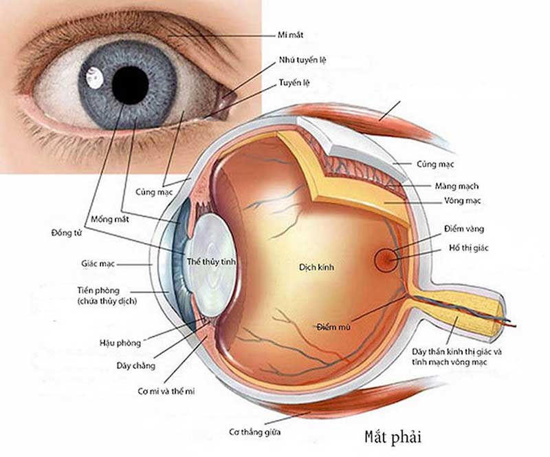 Ánh sáng tác động đến cảm xúc